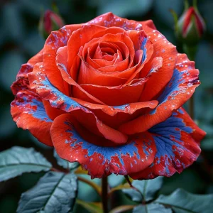 Роза Сикрет Гарден купить по цене от 619р. в интернет-магазине «Посадика» с доставкой почтой в в Обнинске и по всей России – [изображение №1].